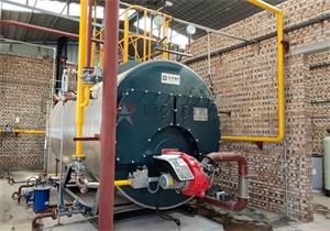 陜西生物制藥企業2噸燃氣蒸汽鍋爐